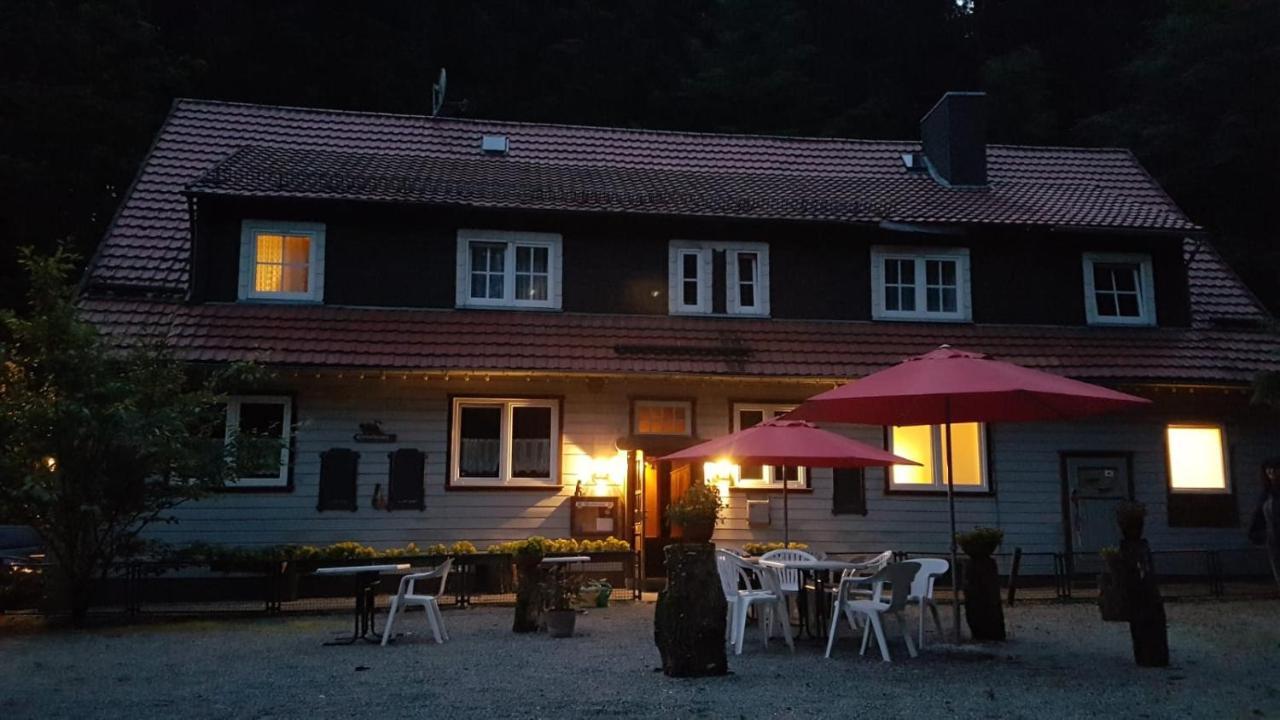 Waldpension Harzer Waldwinkel Бад Грунд Екстериор снимка
