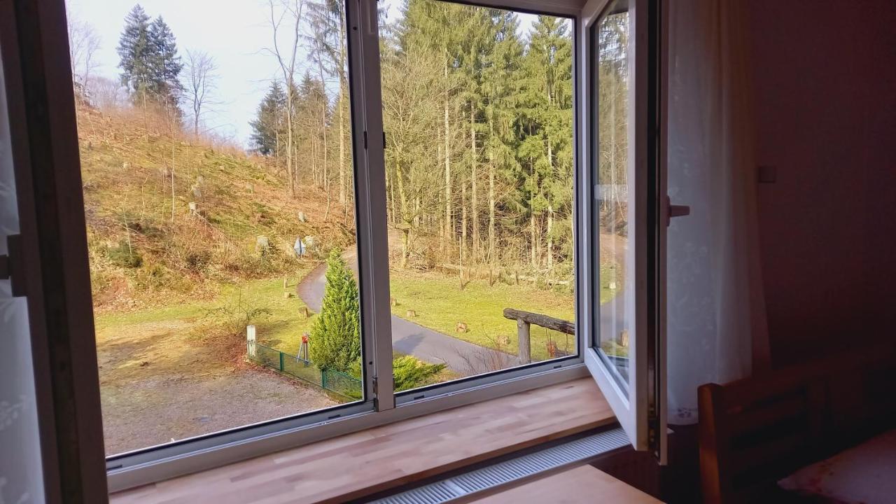 Waldpension Harzer Waldwinkel Бад Грунд Екстериор снимка
