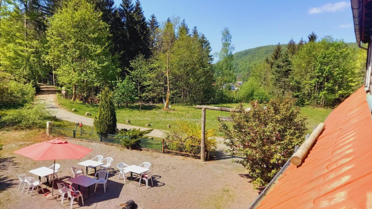 Waldpension Harzer Waldwinkel Бад Грунд Екстериор снимка